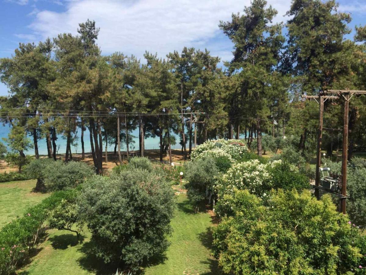 Nisteri Seaside Apartamento Thásos Exterior foto